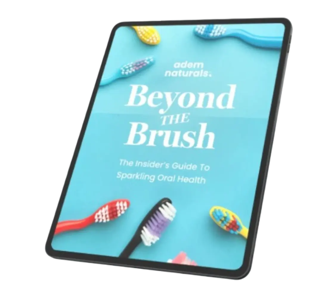ProvaDent bonus guide Beyond the Brush